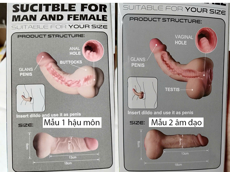 do choi cho gay 2 in 1